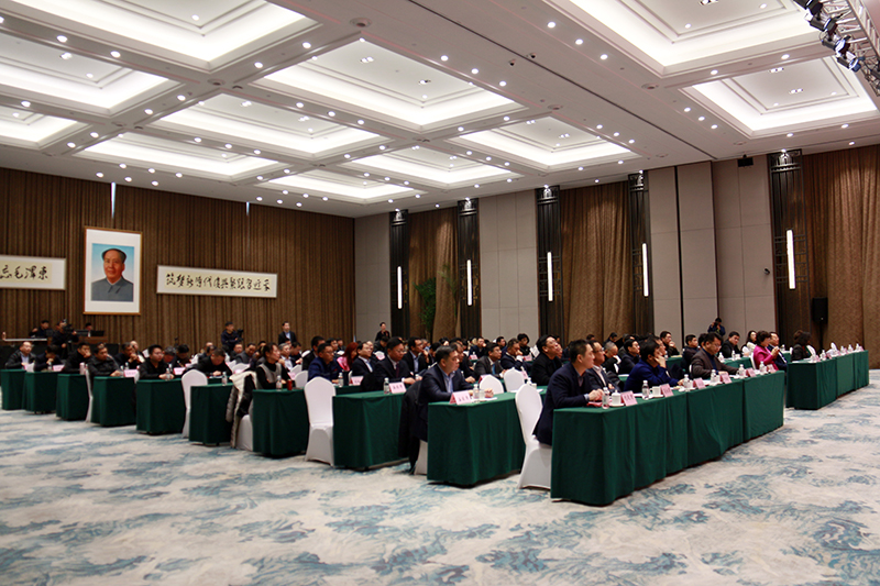 民營企業(yè)高質量發(fā)展，德才集團再獲殊榮領跑民企(圖4)