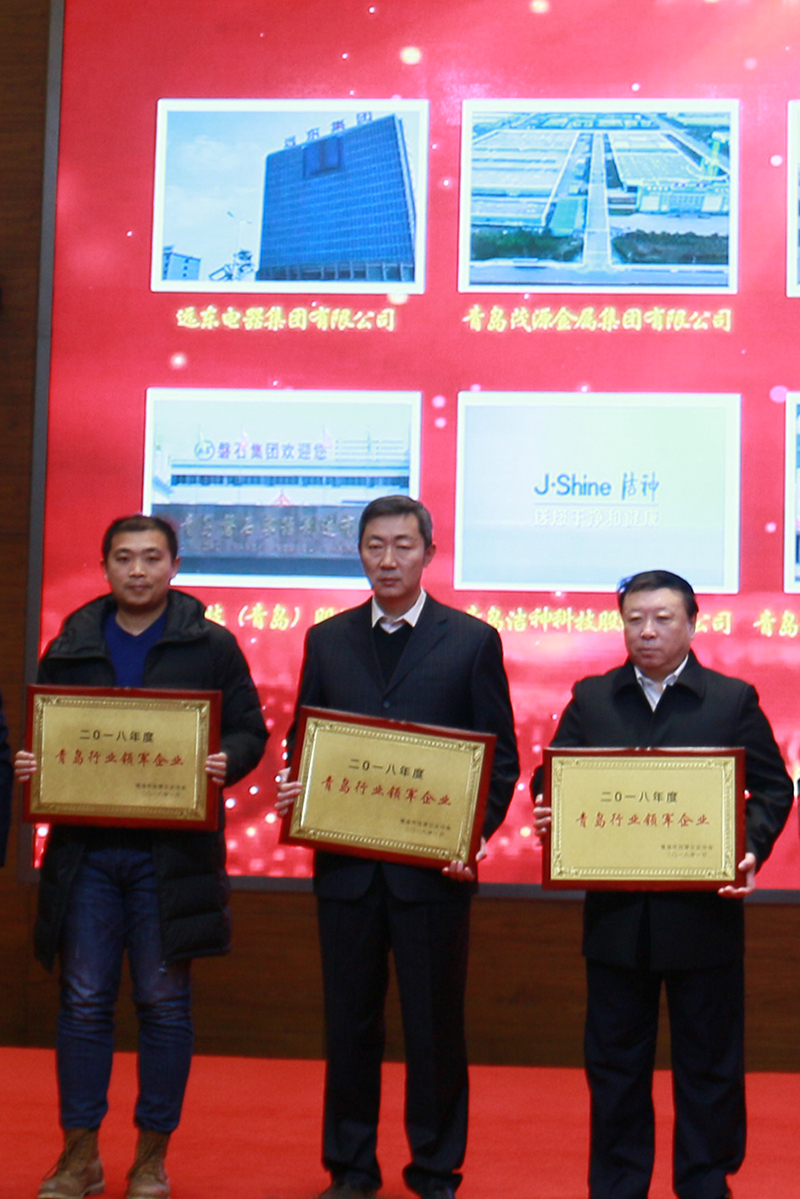 民營企業(yè)高質量發(fā)展，德才集團再獲殊榮領跑民企(圖6)