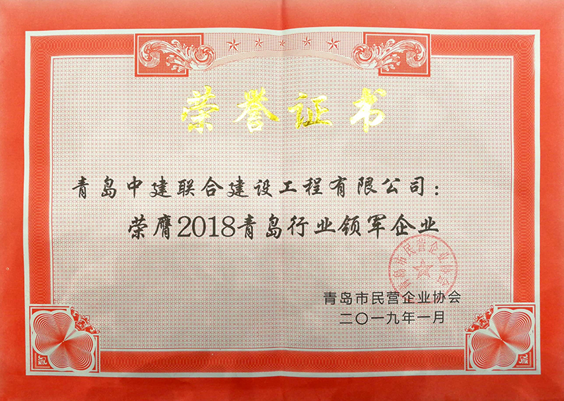 民營企業(yè)高質量發(fā)展,德才集團再獲殊榮領跑民企(圖8) 民營企業(yè)高質量發(fā)展,德才集團再獲殊榮領跑民企(圖8)